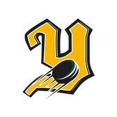 team_logo