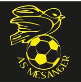 team_logo