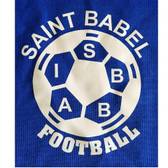 team_logo