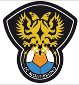 team_logo
