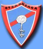 team_logo