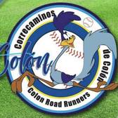 team_logo