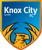 team_logo