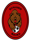 team_logo