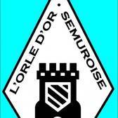 team_logo