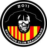 team_logo