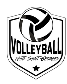 team_logo