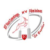 team_logo