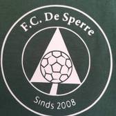 team_logo