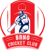 team_logo