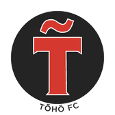 team_logo