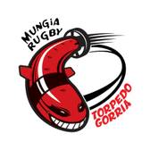 team_logo