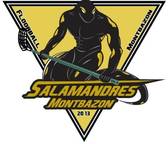 team_logo
