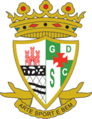 team_logo