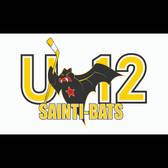 team_logo