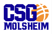 team_logo