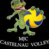 team_logo
