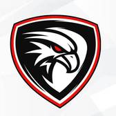 team_logo