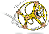 team_logo