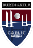 team_logo