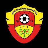 team_logo