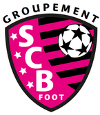 team_logo