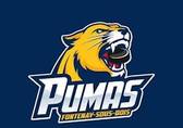 team_logo
