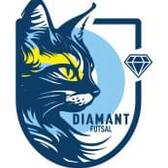 team_logo