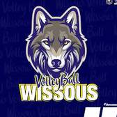 team_logo