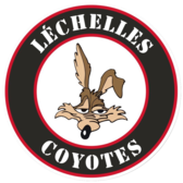 team_logo