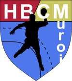 team_logo