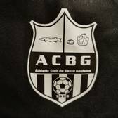 team_logo