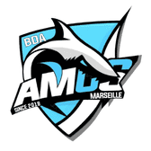 team_logo