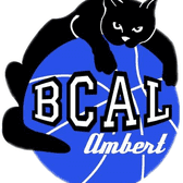 team_logo