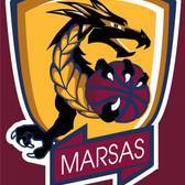 team_logo