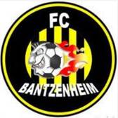 team_logo