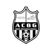 team_logo