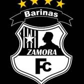 team_logo