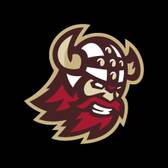 team_logo