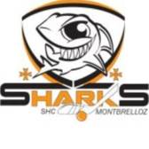 team_logo