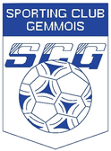 team_logo