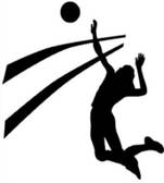 team_logo