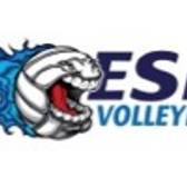 team_logo