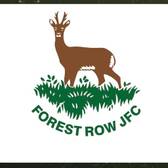 team_logo