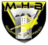 team_logo