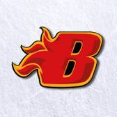 team_logo