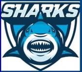 team_logo