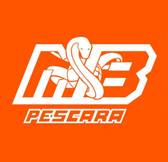 team_logo