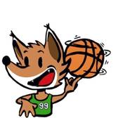 team_logo