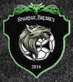 team_logo